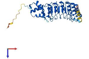 FBXL15 Protein (AA 1-300) (His tag)
