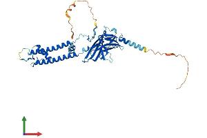Protein Structure (PS) image for Potassium Inwardly-Rectifying Channel, Subfamily J, Member 11 (KCNJ11) (AA 1-390) protein (His tag) (ABIN7554262)