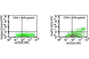 Image no. 1 for anti-Forkhead Box P3 (FOXP3) (AA 2-136), (N-Term) antibody (FITC) (ABIN231950) (FOXP3 Antikörper  (N-Term) (FITC))
