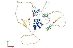 Protein Structure (PS) image for Autoimmune Regulator (AIRE) (AA 1-552) protein (His tag) (ABIN7565252)