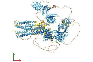 Protein Structure (PS) image for ATPase, Cu++ Transporting, beta Polypeptide (ATP7B) (AA 1-1465) protein (His tag) (ABIN7552518)