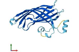 Protein Structure (PS) image for B9 Protein Domain 2 (B9D2) (AA 1-175) protein (His tag) (ABIN7552651)