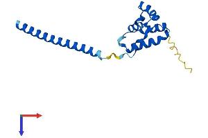 LDOC1 Protein (AA 1-146) (His tag)