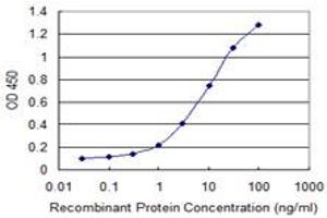Detection limit for recombinant GST tagged PCSK1N is 0. (PCSK1N Antikörper  (AA 173-260))