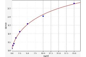 Typical standard curve (CREB1 ELISA Kit)