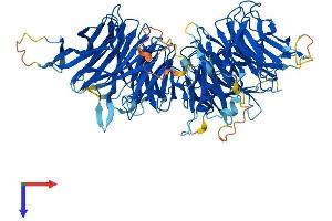 Protein Structure (PS) image for Elongator Acetyltransferase Complex Subunit 2 (ELP2) (AA 1-826) protein (His tag) (ABIN7553772)