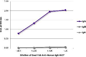 ELISA image for Goat anti-Human IgG antibody (Biotin) (ABIN375953)