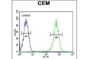 FADS2 Antibody (Center) (ABIN651561 and ABIN2840302) flow cytometric analysis of CEM cells (right histogram) compared to a negative control (left histogram). (FADS2 Antikörper  (AA 96-122))