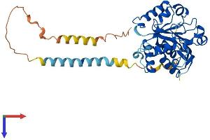 ST6GALNAC4 Protein (AA 1-360) (His tag)