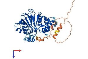 PNKD Protein (AA 1-385) (His tag)