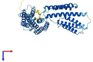 BAG5 Protein (AA 1-447) (His tag)
