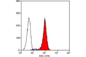 Staining of human peripheral blood granulocytes with MOUSE ANTI HUMAN CD24:FITC (CD24 Antikörper  (FITC))