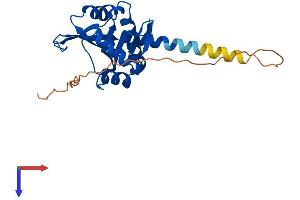 NAA10 Protein (AA 1-235) (His tag)