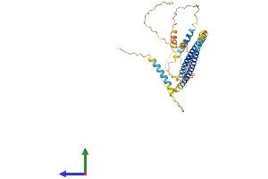 Protein Structure (PS) image for Spermatogenic Leucine Zipper 1 (SPZ1) (AA 1-378) protein (His tag) (ABIN7560421)