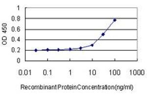 Detection limit for recombinant GST tagged B3GALT2 is approximately 3ng/ml as a capture antibody.
