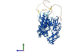 Protein Structure (PS) image for Heat Shock 70kDa Protein 4 (HSPA4) (AA 1-840) protein (His tag) (ABIN7548391)