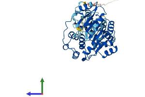 Protein Structure (PS) image for Eukaryotic Translation Initiation Factor 4A3 (EIF4A3) (AA 1-411) protein (His tag) (ABIN7554161)