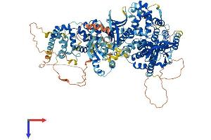 TBC1D8 Protein (AA 1-1134) (His tag)