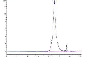 The purity of Biotinylated Human LILRB4 Domain 2 is greater than 95 % as determined by SEC-HPLC. (LILRB4 Protein (AA 119-259) (His-Avi Tag,Biotin))