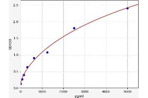 Oxidized Low Density Lipoprotein (Lectin-Like) Receptor 1 (OLR1) ELISA Kit