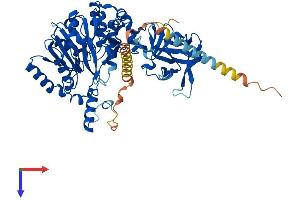UDP-N-Acetyl-alpha-D-Galactosamine:polypeptide N-Acetylgalactosaminyltransferase 18 (GALNT18) (AA 1-607) protein (His tag)