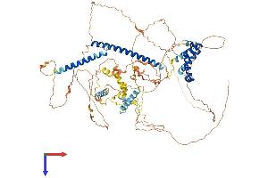 MLXIPL Protein (AA 1-852) (His tag)