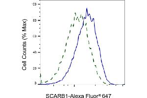 Validation of SCARB1 knockdown using flow cytometry. (Rekombinanter SCARB1 Antikörper)