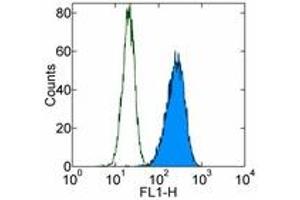 Image no. 1 for anti-Integrin AlphaV, Integrin Beta3 (ITGAV/ITGB3) antibody (FITC) (ABIN473585) (CD51/CD61 Antikörper  (FITC))