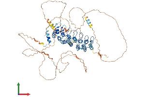 Protein Structure (PS) image for Nuclear Factor of kappa Light Polypeptide Gene Enhancer in B-Cells Inhibitor, zeta (NFKBIZ) (AA 1-718) protein (His tag) (ABIN7554163)
