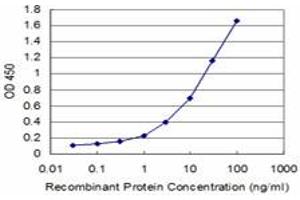 Detection limit for recombinant GST tagged HOXA5 is approximately 0. (HOXA5 Antikörper  (AA 171-270))