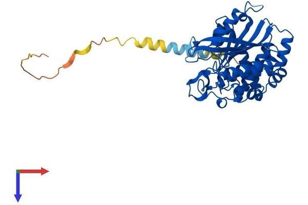 QPCTL Protein (AA 1-382) (His tag)