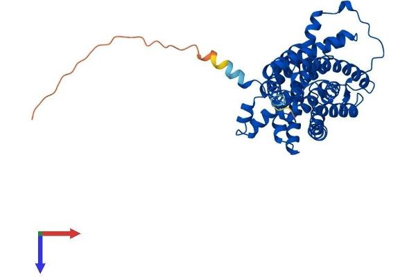 SLC14A1 Protein (AA 1-389) (His tag)