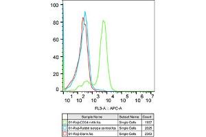 Flow cytometry: Raji cells were stained with Rabbit IgG isotype control (, 10 μg/mL, blue line) or ICAM-1/CD54 Rabbit mAb (ABIN7267941, 10 μg/mL green line), followed by Alexa Fluor 647 conjugated goat anti-rabbit pAb(1:600 dilution) staining. (ICAM1 Antikörper)