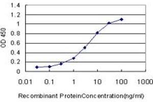 Detection limit for recombinant GST tagged SP1 is approximately 0. (SP1 Antikörper  (AA 89-198))