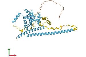 Protein Structure (PS) image for Eukaryotic Translation Initiation Factor 3 Subunit H (EIF3H) (AA 1-352) protein (His tag) (ABIN7560042)