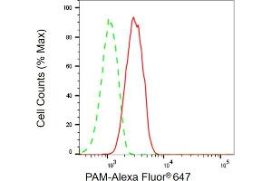 Flow cytometric analysis of PAM expression in C2C12 cells using PAM antibody (ABIN7799761), 1:2,000).