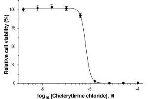 Dose-response curve of Chelerythrine chloride (ABIN7885754) inhibition of the 100 ng/mL Native mouse NGF 2. (Chelerythrine chloride)