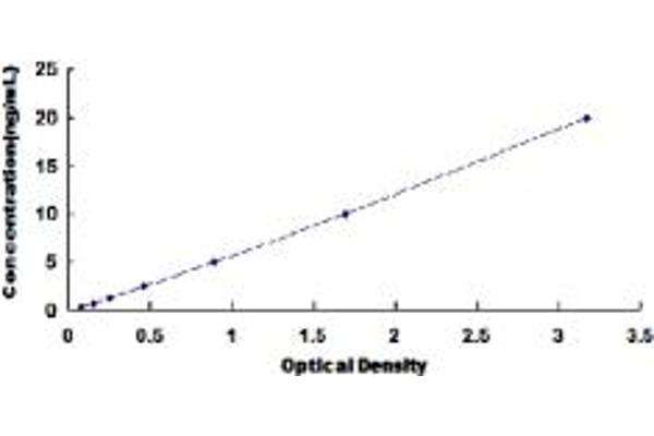 Prokineticin Receptor 2 ELISA Kit