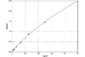 Calponin 2 (CNN2) ELISA Kit
