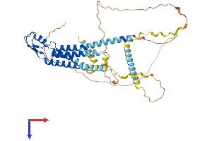GJC2 Protein (AA 1-439) (His tag)