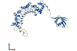 AlphaFold protein structure predicition of Mouse Recombinant Tbcel Protein, UniprotID Q8C5W3