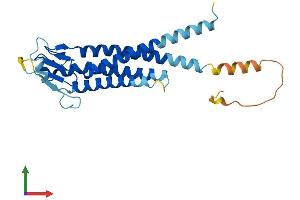 Protein Structure (PS) image for Lipoma HMGIC Fusion Partner-Like 4 (LHFPL4) (AA 1-247) protein (His tag) (ABIN7549040)
