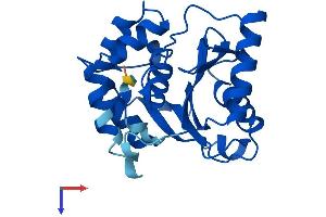 UCHL3 Protein (AA 1-230) (His tag)
