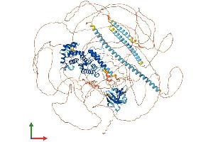 AlphaFold protein structure predicition of Mouse Recombinant Camsap1 Protein, UniprotID A2AHC3