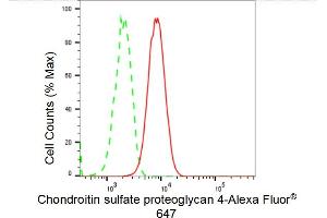 Flow cytometric analysis of Chondroitin sulfate proteoglycan 4 expression in C2C12 cells using Chondroitin sulfate proteoglycan 4 antibody (ABIN7799361), 1:2,000). (Rekombinanter NG2 Antikörper)