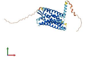 Protein Structure (PS) image for Chemokine (C-C Motif) Receptor 8 (CCR8) (AA 1-355) protein (His tag) (ABIN7553213)