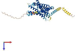 Protein Structure (PS) image for Chemokine (C-C Motif) Receptor 8 (CCR8) (AA 1-353) protein (His tag) (ABIN7556480)