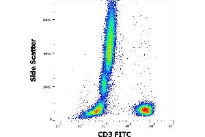 Flow cytometry surface staining pattern of human peripheral whole blood stained using anti-human CD3 (OKT3) FITC antibody (4 μL reagent / 100 μL of peripheral whole blood). (CD3 Antikörper  (FITC))
