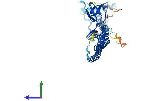 Protein Structure (PS) image for Endophilin-A3 (SH3GL3) (AA 1-347) protein (His tag) (ABIN7557790)