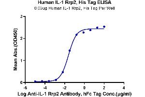 Immobilized Human IL-1 Rrp2 at 0. (IL1RL2 Protein (AA 20-335) (His-Avi Tag))